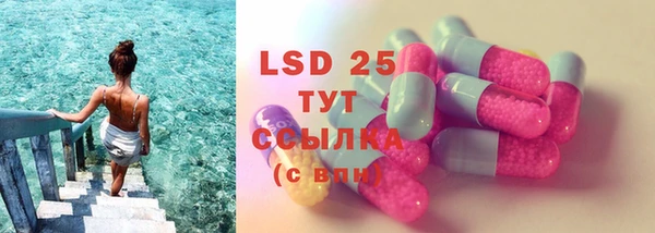 ГАЛЛЮЦИНОГЕННЫЕ ГРИБЫ Козловка
