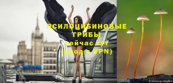 тгк Костерёво