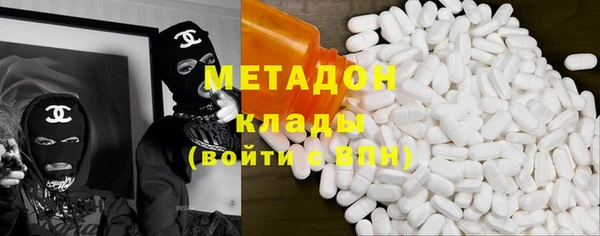 ГАЛЛЮЦИНОГЕННЫЕ ГРИБЫ Козловка
