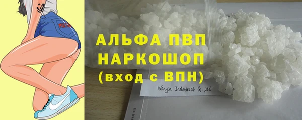 ГАЛЛЮЦИНОГЕННЫЕ ГРИБЫ Козловка