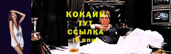 ГАЛЛЮЦИНОГЕННЫЕ ГРИБЫ Козловка