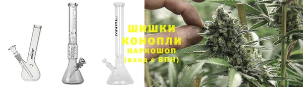 ГАЛЛЮЦИНОГЕННЫЕ ГРИБЫ Козловка