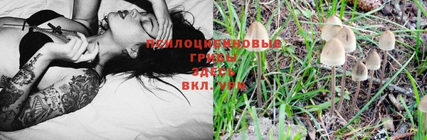 марки lsd Козельск