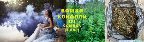 2c-b Кодинск