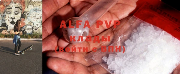 ГАЛЛЮЦИНОГЕННЫЕ ГРИБЫ Козловка