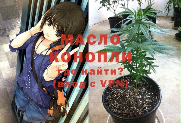 ГАЛЛЮЦИНОГЕННЫЕ ГРИБЫ Козловка